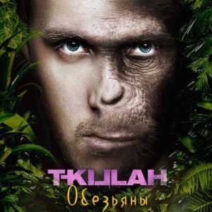 Текст Песни. T-Killah & Дневник Хача – «Обезьяны» | Страна FM