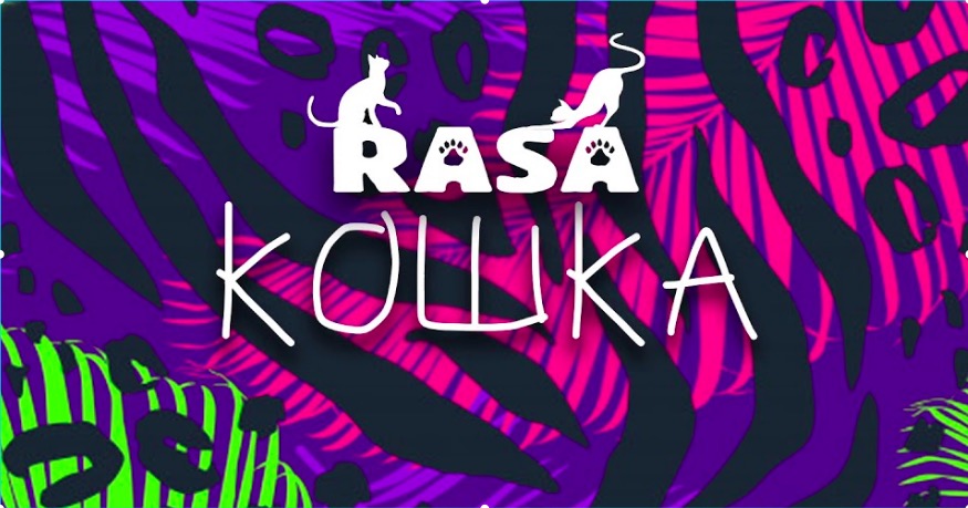 Под фонарем песня. Rasa кошка. Альбом кошка rasa. Раса кошка текст. ATL душегуб.